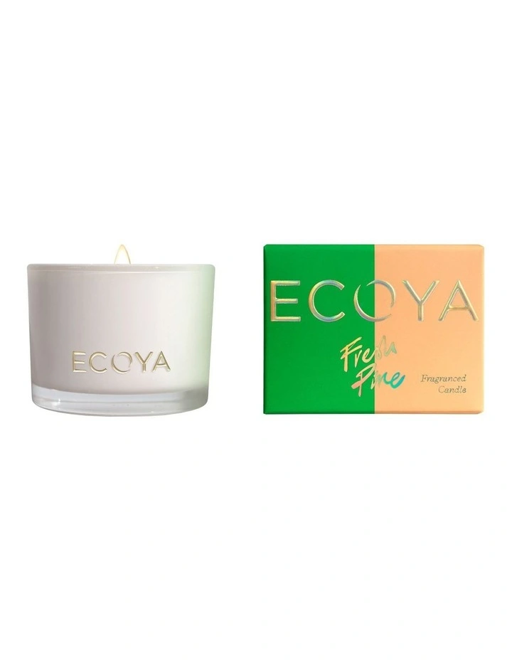 New π₯° ECOYA Fresh Pine Monty Candle π 3 New π₯° ECOYA Fresh Pine Monty Candle π
