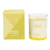 Outlet 🔔 Salt&Pepper Lumi 198g Pineapple & Coconut Candle 🥰