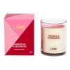 Best reviews of 😀 Salt&Pepper Lumi 198g Magnolia & Geranium Candle 🛒 -candle shop unnamed file 240
