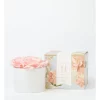 Budget π Heritage Floral Bouquet Diffuser Wild Tulip & Gardenia π₯ 1 Budget π Heritage Floral Bouquet Diffuser Wild Tulip & Gardenia π₯ -candle shop unnamed file 339