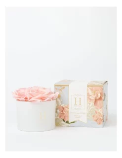 Budget 😀 Heritage Floral Bouquet Diffuser Wild Tulip & Gardenia 🔥