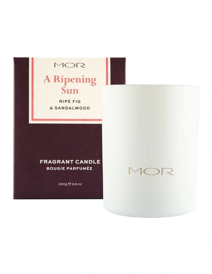Budget β MOR A Ripening Sun: Ripe Fig & π©΄ Sandalwood Fragrant Candle π 3 Budget β MOR A Ripening Sun: Ripe Fig & π©΄ Sandalwood Fragrant Candle π