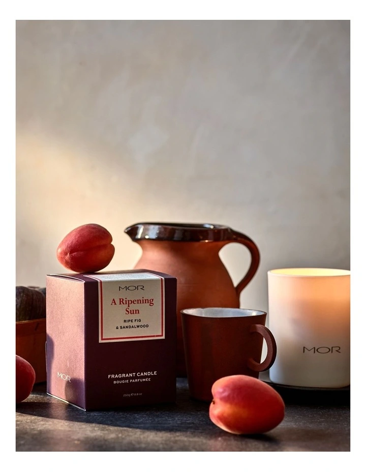 Budget β MOR A Ripening Sun: Ripe Fig & π©΄ Sandalwood Fragrant Candle π 4 Budget β MOR A Ripening Sun: Ripe Fig & π©΄ Sandalwood Fragrant Candle π - Image 2