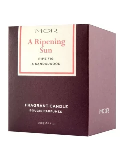 Budget β MOR A Ripening Sun: Ripe Fig & π©΄ Sandalwood Fragrant Candle π 8 Budget β MOR A Ripening Sun: Ripe Fig & π©΄ Sandalwood Fragrant Candle π -candle shop unnamed file 534