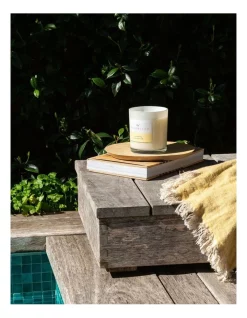 Flash Sale 🎁 Palm Beach Collection Coconut & Lime 420g Scented Soy Candle 🎁 -candle shop unnamed file 595