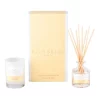 Cheapest 🧨 Palm Beach Collection Coconut & Lime Mini Candle & Diffuser Gift Pack 🌟 -candle shop unnamed file 606