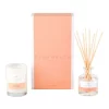 Outlet 🔔 Palm Beach Collection Watermelon Mini Candle & Diffuser Gift Pack ⭐