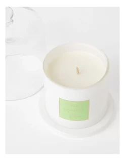 Deals β¨ True Home Island Coconut & Lime Candle With Cloche π 7 Deals β¨ True Home Island Coconut & Lime Candle With Cloche π -candle shop unnamed file 93