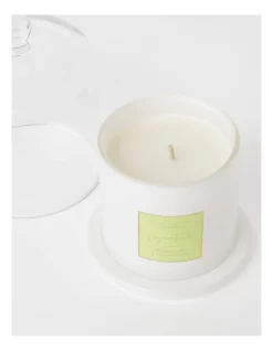 Best Sale ❤️ True Home Persian Lime & Lemongrass Candle With Cloche 🤩 -candle shop unnamed file 96